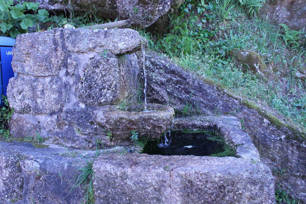 Casa Das Bonecas Vieira do Minho Zewnętrze zdjęcie